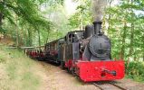 train-abreschviller